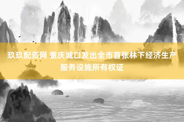 玖玖配资网 重庆城口发出全市首张林下经济生产服务设施所有权证