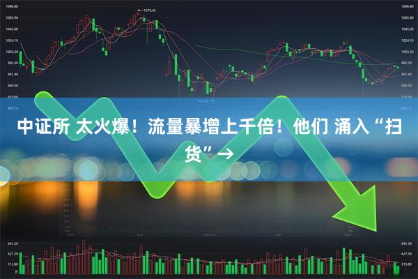 中证所 太火爆！流量暴增上千倍！他们 涌入“扫货”→